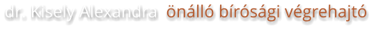dr. Kisely Alexandra  önálló bírósági végrehajtó
