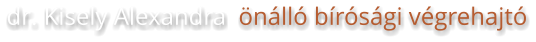 dr. Kisely Alexandra  önálló bírósági végrehajtó